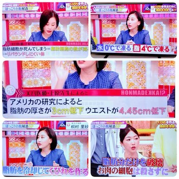 脂肪冷却ダイエット