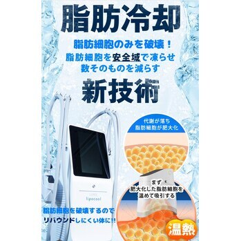 脂肪冷却ダイエット